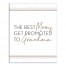 The Best Moms Get Promoted to Grandma Wall Art