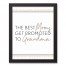 The Best Moms Get Promoted to Grandma 11x14 Black Framed Canvas