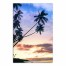 Palm Tree Coastal Sunset Wall Art