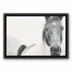 Black and White Lone Horse Wall Art