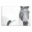 Black and White Lone Horse Wall Art
