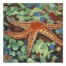 Painted Starfish on Sea glass Wall Art