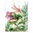 Tropical Floral Plants Wall Art