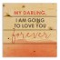 My Darling I am Going to Love you Forever 14x14 Pallet Wood Art