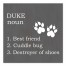 Personalized Dog Name Definition Canvas Print