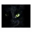 Halloween Black Cat 16x20 Canvas Wall Art