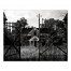Haunted Gate 16x20 Canvas Wall Art