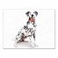 Halloween Spider Dalmatian Painted 18x24 Canvas Wall Art