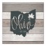 Ohio Established 16x16 Canvas Wall Art