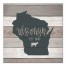 Wisconsin Established 16x16 Canvas Wall Art