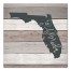 Florida Established 16x16 Canvas Wall Art