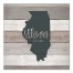 Illinois Established 16x16 Canvas Wall Art