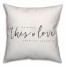 We Built This Love 18x18 Spun Poly Pillow