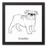 Bulldog Sketch 12x12 Personalized Black Framed Canvas