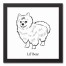 Pomeranian Sketch 12x12 Personalized Black Framed Canvas