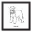 Schnauzer Sketch 12x12 Personalized Black Framed Canvas