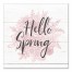 Hello Spring 16x16 Canvas Wall Art