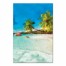 Painterly Palms 32x48 Canvas Wall Art