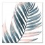 Blush Palm 20x20 Canvas Wall Art
