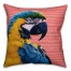 Parrot Pal 26x26 Spun Poly Pillow