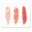 Gradient Tribal Feathers 16x20 Canvas Wall Art