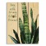 Say Aloe 10.5x14 Pallet Wood Art