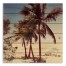 Palm Beach 21x21 Pallet Wood Art