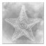 Gray Starfish 16x16 Canvas Wall Art