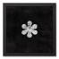 Vintage Star 12x12 Black Framed Canvas