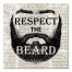 Respect the Beard 16x16 Canvas Wall Art