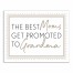 The Best Moms get Promoted to Grandma 11x14 Canvas Wall Art
