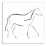 Simple Horse Sketch 16x16 Canvas Wall Art