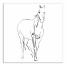 Horse Sketch 24x24 Canvas Wall Art