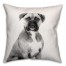 Boxer Sketch 18x18 Poly Twill Pillow