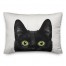 Cat Eyes 14x14 Poly Twill Pillow