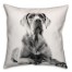 Great Dane Sketch 18x18 Poly Twill Pillow