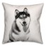 Husky Sketch 18x18 Poly Twill Pillow