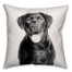 Lab Sketch 18x18 Poly Twill Pillow