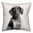 Pointer Sketch 18x18 Poly Twill Pillow