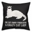 One Cat Away From Being A Crazy Cat Lady 18x18 Poly Twill Pillow