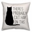There's Probably Cat Hair On This 18x18 Poly Twill Pillow