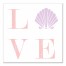 Shell Love 16x16 Canvas Wall Art