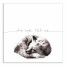 Sleep Tight Little Cub 16x16 Canvas Wall Art