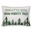 From Little Seeds Grow Mighty Trees 14x20 Spun Poly Pillow