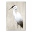 White Heron 20x30 Canvas Wall Art