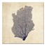Navy Coral Fan Set Separates Wall Art