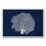 Nautical Full Fan Coral  Wall Art
