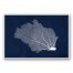 Nautical Broken Fan Coral Wall Art