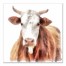 Painterly Dairy Cow 30x30 Canvas Wall Art