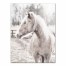 White Painterly Horse 30x40 Canvas Wall Art